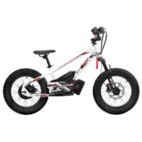 Amped youth electric balance bike from Quad Spares