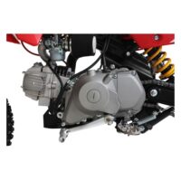 10TEN JHL SK110 Side View 10TEN-JHL SK110 Pit Bike