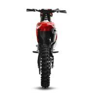 10TEN-JHL TLX300 Enduro Bike_2 10TEN-JHL TLX300 2-stroke enduro dirt bike.